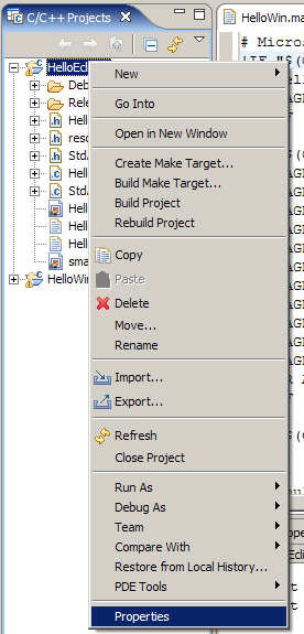  Visual Studio C  C++ ĿǨƵ Eclipse CDT