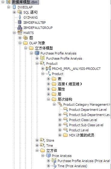  InfoSphere Warehouse  Cognos 8.4 ݷӦ