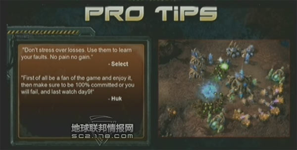 收入证明范本_支出收入表格_星际职业玩家收入