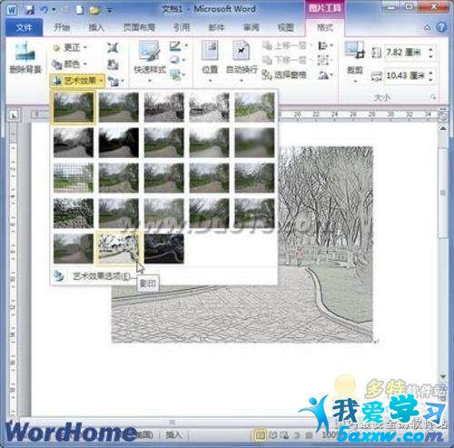 Word 2010ĵΪͼƬЧ