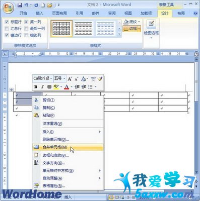 Word2007ϲԪ