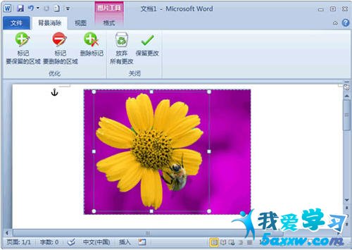 Word 2010ȥͼƬС