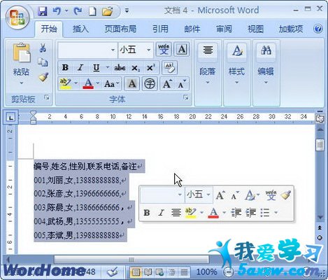 Word2007תΪ