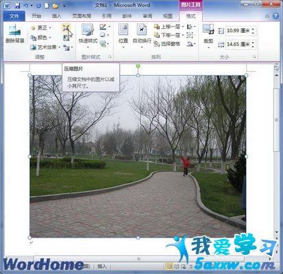 Word2010ĵôѹͼƬ