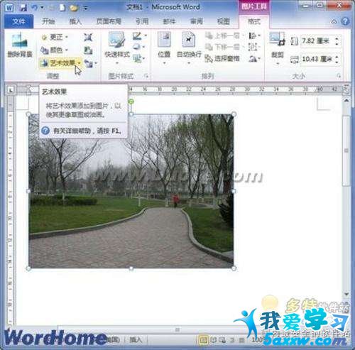 Word 2010ĵΪͼƬЧ