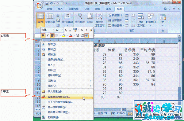 Excel 2007ı