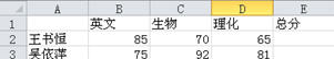 excel2010ʽ뷽